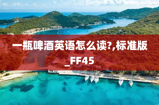 一瓶啤酒英语怎么读?,标准版_FF45