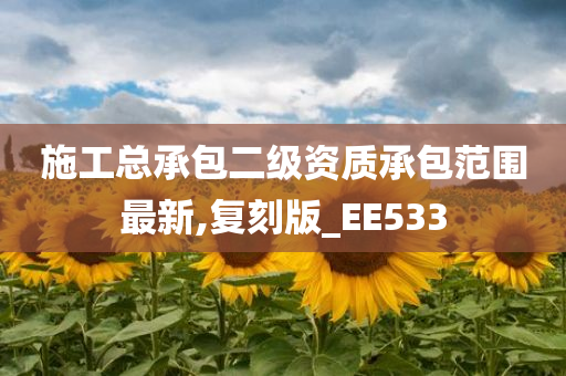 施工总承包二级资质承包范围最新,复刻版_EE533