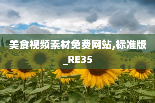 美食视频素材免费网站,标准版_RE35