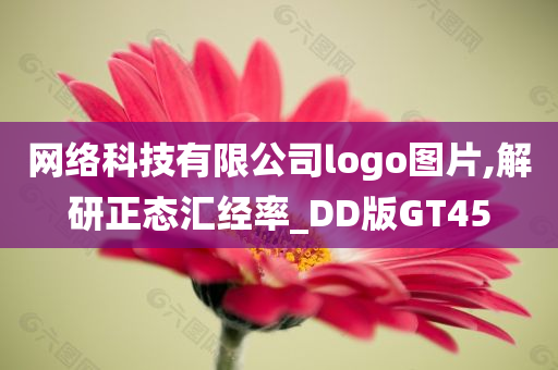 网络科技有限公司logo图片,解研正态汇经率_DD版GT45