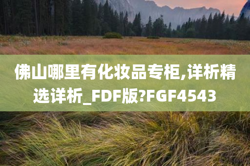 佛山哪里有化妆品专柜,详析精选详析_FDF版?FGF4543