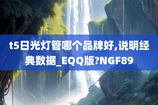 t5日光灯管哪个品牌好,说明经典数据_EQQ版?NGF89