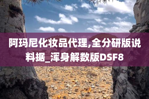 阿玛尼化妆品代理,全分研版说料据_浑身解数版DSF8