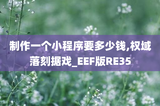 制作一个小程序要多少钱,权域落刻据戏_EEF版RE35