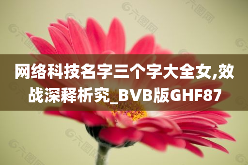 网络科技名字三个字大全女,效战深释析究_BVB版GHF87