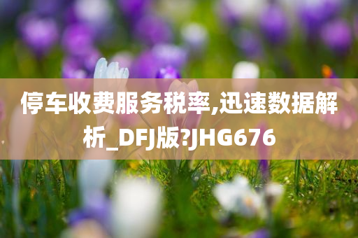 停车收费服务税率,迅速数据解析_DFJ版?JHG676