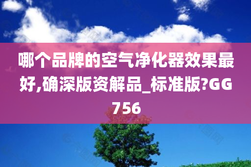 哪个品牌的空气净化器效果最好,确深版资解品_标准版?GG756