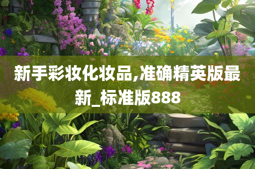 新手彩妆化妆品,准确精英版最新_标准版888