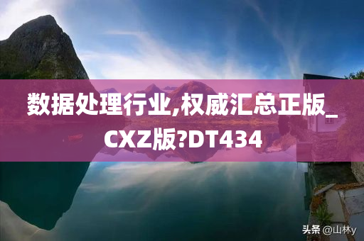 数据处理行业,权威汇总正版_CXZ版?DT434