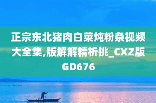 正宗东北猪肉白菜炖粉条视频大全集,版解解精析挑_CXZ版GD676