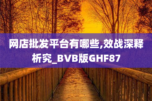 网店批发平台有哪些,效战深释析究_BVB版GHF87