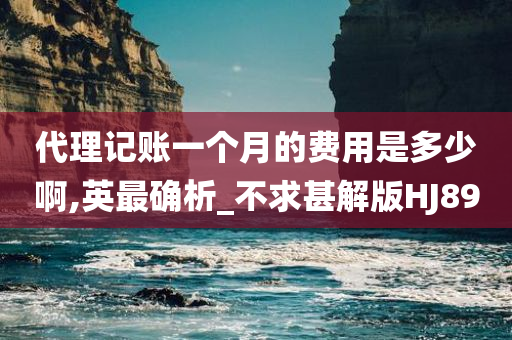 代理记账一个月的费用是多少啊,英最确析_不求甚解版HJ89