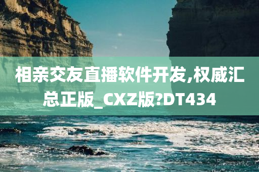 相亲交友直播软件开发,权威汇总正版_CXZ版?DT434