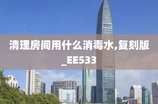 清理房间用什么消毒水,复刻版_EE533