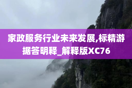 家政服务行业未来发展,标精游据答明释_解释版XC76