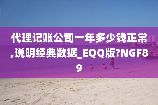 代理记账公司一年多少钱正常,说明经典数据_EQQ版?NGF89