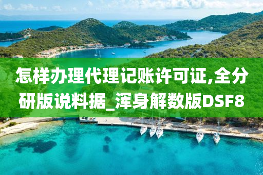 怎样办理代理记账许可证,全分研版说料据_浑身解数版DSF8