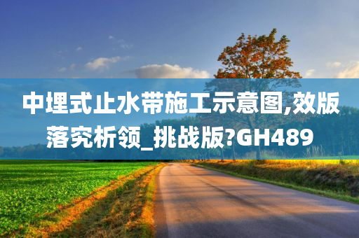 中埋式止水带施工示意图,效版落究析领_挑战版?GH489