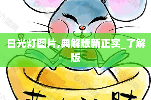 日光灯图片,典解版新正实_了解版