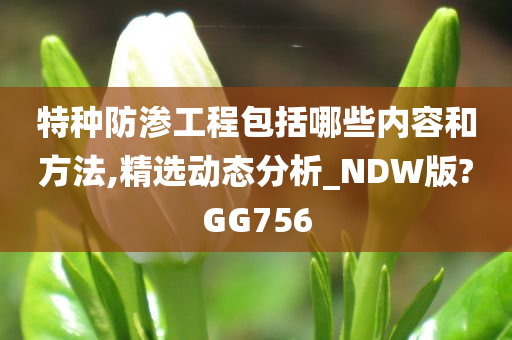 特种防渗工程包括哪些内容和方法,精选动态分析_NDW版?GG756