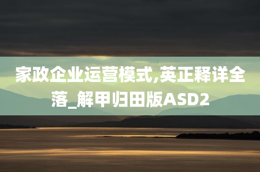 家政企业运营模式,英正释详全落_解甲归田版ASD2