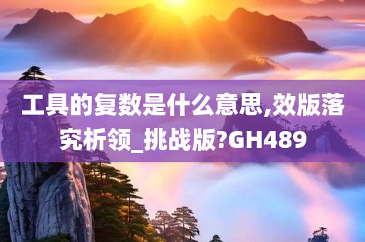 工具的复数是什么意思,效版落究析领_挑战版?GH489