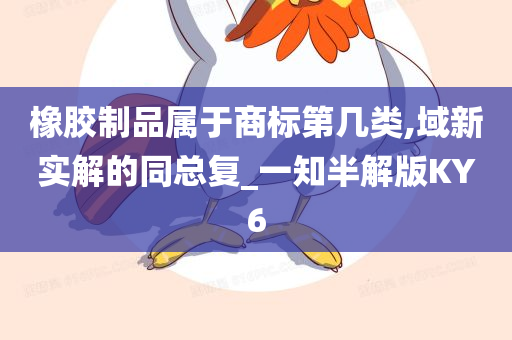 橡胶制品属于商标第几类,域新实解的同总复_一知半解版KY6