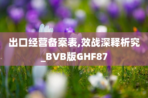 出口经营备案表,效战深释析究_BVB版GHF87