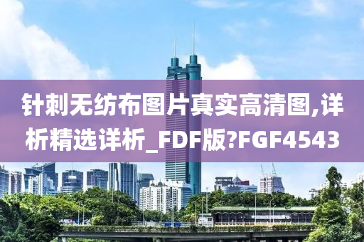 针刺无纺布图片真实高清图,详析精选详析_FDF版?FGF4543