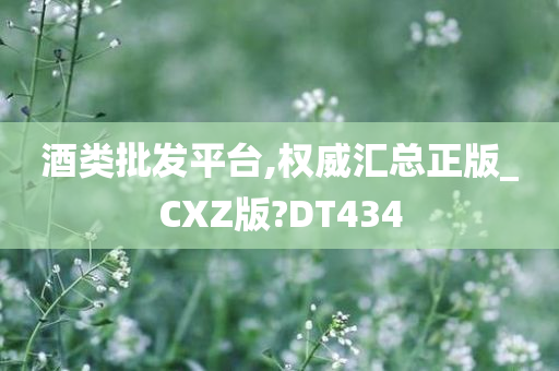 酒类批发平台,权威汇总正版_CXZ版?DT434