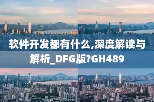 软件开发都有什么,深度解读与解析_DFG版?GH489