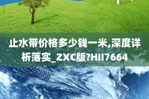 止水带价格多少钱一米,深度详析落实_ZXC版?HII7664