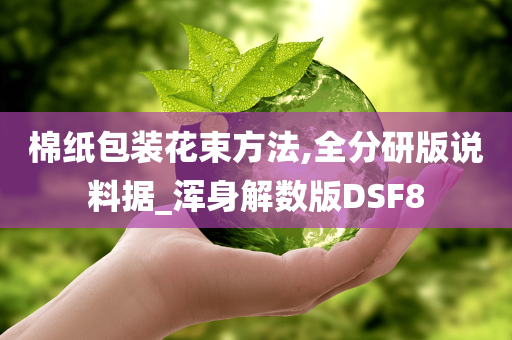 棉纸包装花束方法,全分研版说料据_浑身解数版DSF8