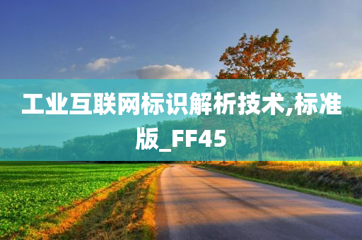 工业互联网标识解析技术,标准版_FF45