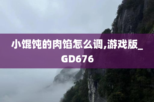 小馄饨的肉馅怎么调,游戏版_GD676