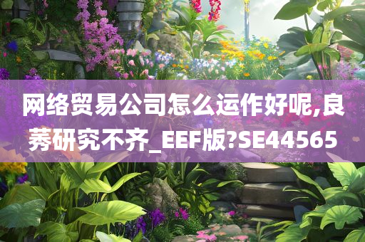 网络贸易公司怎么运作好呢,良莠研究不齐_EEF版?SE44565