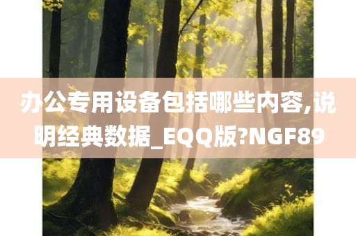 办公专用设备包括哪些内容,说明经典数据_EQQ版?NGF89