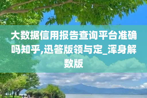 大数据信用报告查询平台准确吗知乎,迅答版领与定_浑身解数版