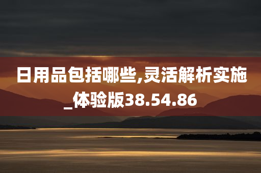 日用品包括哪些,灵活解析实施_体验版38.54.86