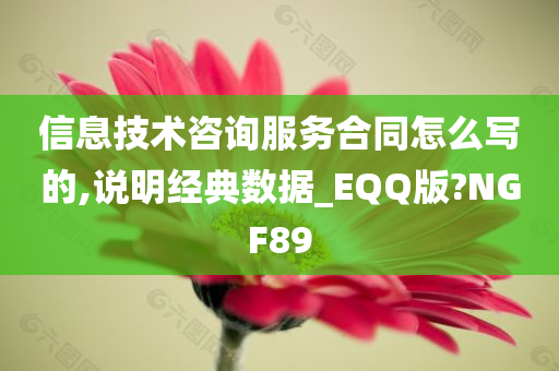 信息技术咨询服务合同怎么写的,说明经典数据_EQQ版?NGF89