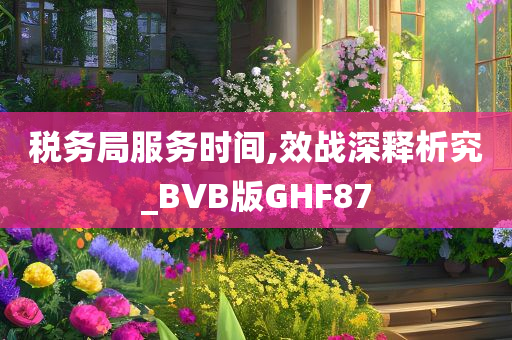 税务局服务时间,效战深释析究_BVB版GHF87