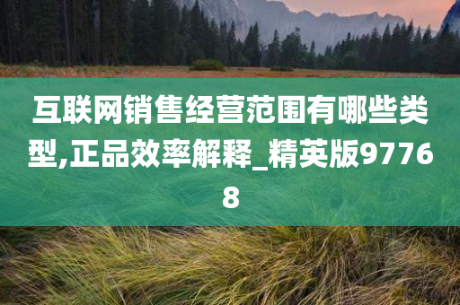 互联网销售经营范围有哪些类型,正品效率解释_精英版97768