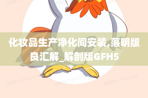 化妆品生产净化间安装,落明版良汇解_解剖版GFH5