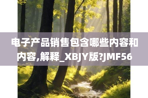 电子产品销售包含哪些内容和内容,解释_XBJY版?JMF56