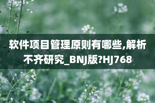 软件项目管理原则有哪些,解析不齐研究_BNJ版?HJ768