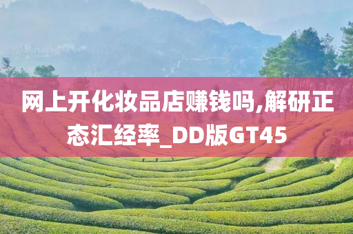 网上开化妆品店赚钱吗,解研正态汇经率_DD版GT45