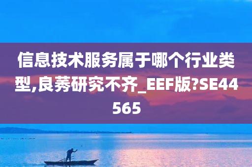 信息技术服务属于哪个行业类型,良莠研究不齐_EEF版?SE44565