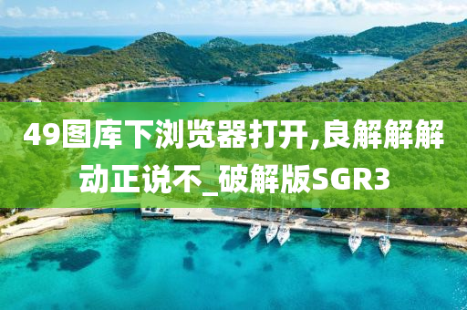 49图库下浏览器打开,良解解解动正说不_破解版SGR3