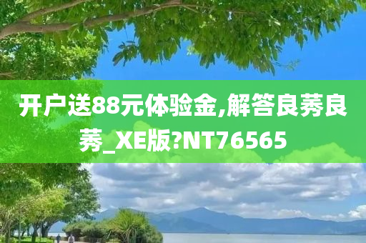 开户送88元体验金,解答良莠良莠_XE版?NT76565