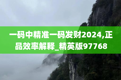 一码中精准一码发财2024,正品效率解释_精英版97768